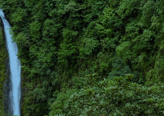 Estudio de mercado en cambio climático