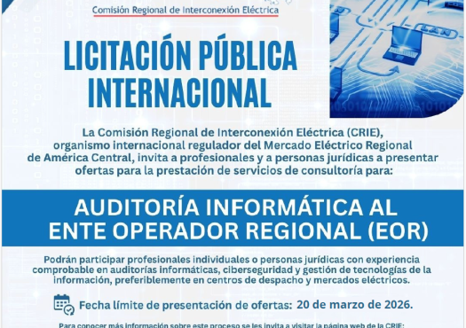CRIE: licitación pública internacional